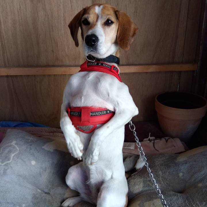 1cbe7a74 f98f 4b20 bdae 579e7e8fd5da 1703933815486