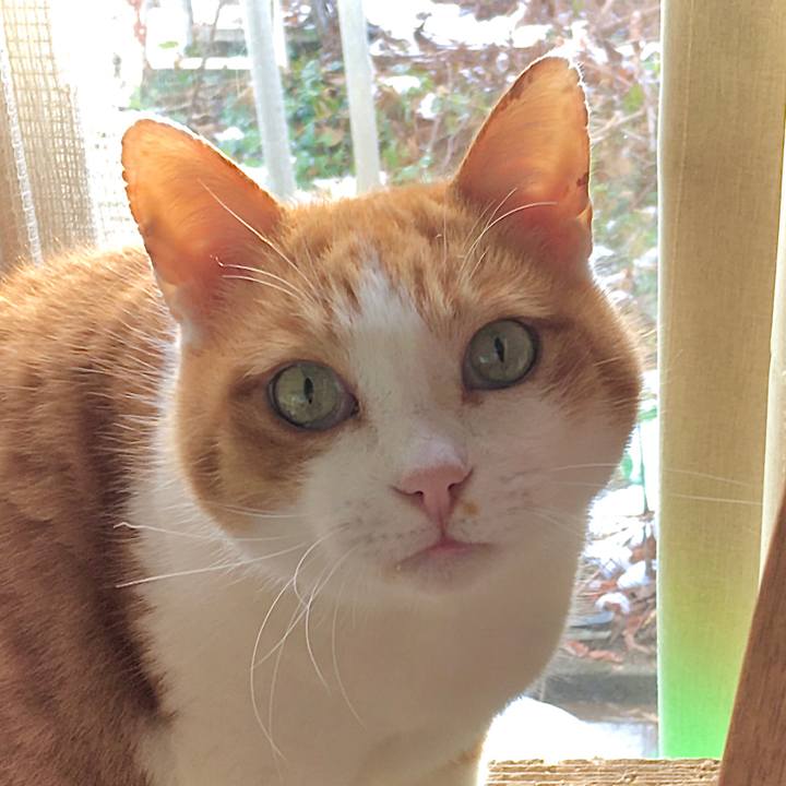 1cbe8a97 d2fc 41aa ac77 3534cffee8fa 1610263171512