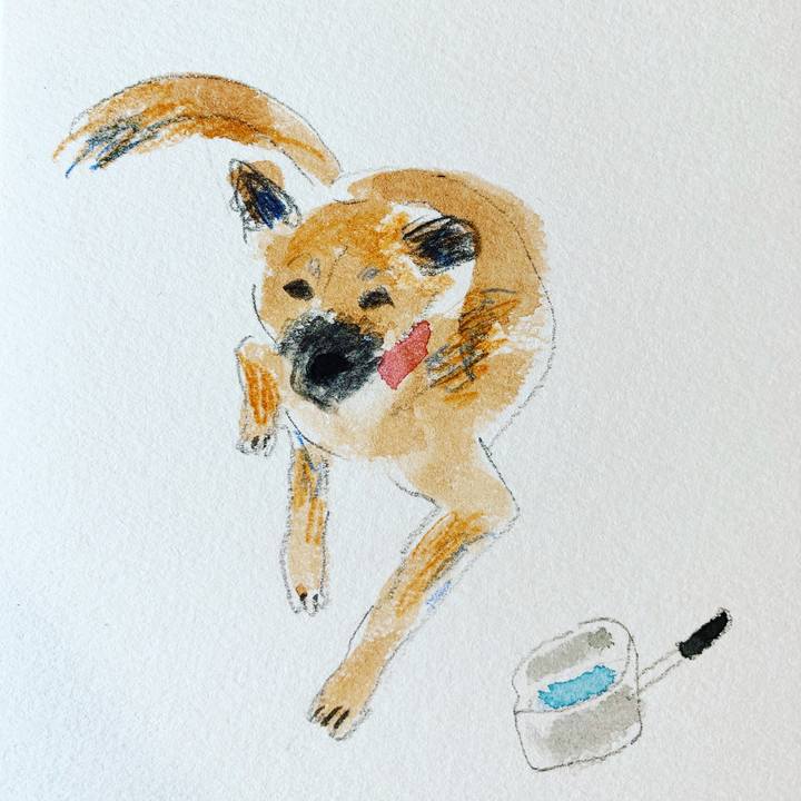 1cbeb2e4 146f 46ef 9e36 c44701683be6 1590406141087