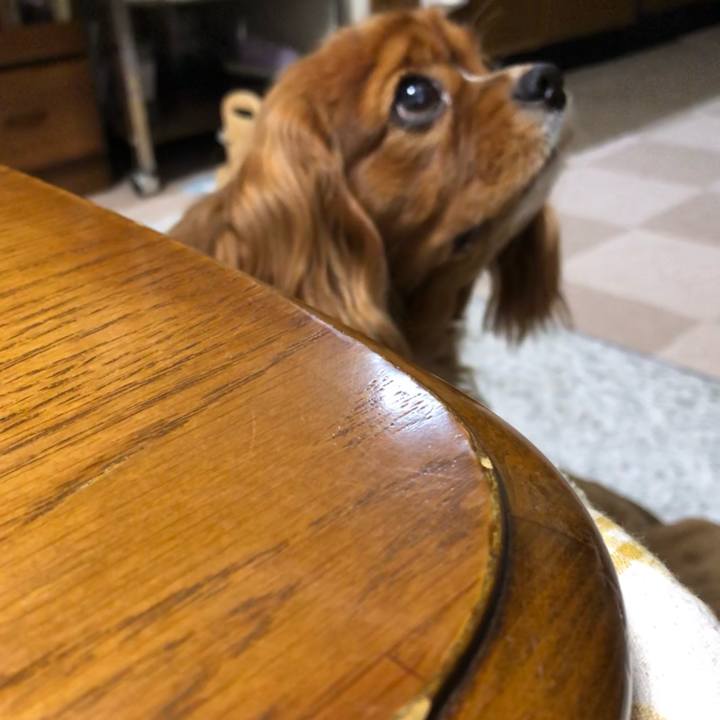 1cbec0fc 55c8 41dc abb2 0bdd4e2589a2 1611872696814