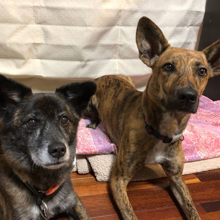 1cbf5aa7 1536 45e4 87d6 a0989de51f65 1606262824819