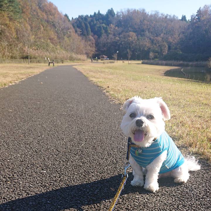 1cbf5e51 bbc8 4b10 8226 90f049565549 1670495736187