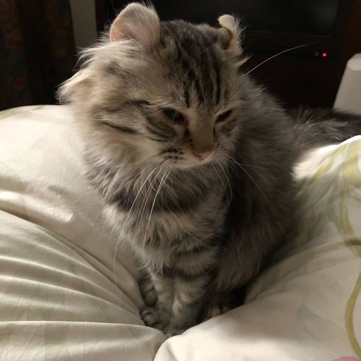 1cbf624c 689b 4a99 9aa1 beeaa25e176b 1524264443179