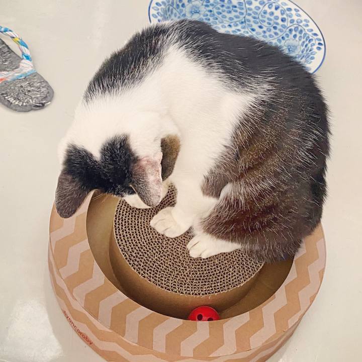 1cbf7521 15a4 4eef aa09 da621bab034a 1596872153889