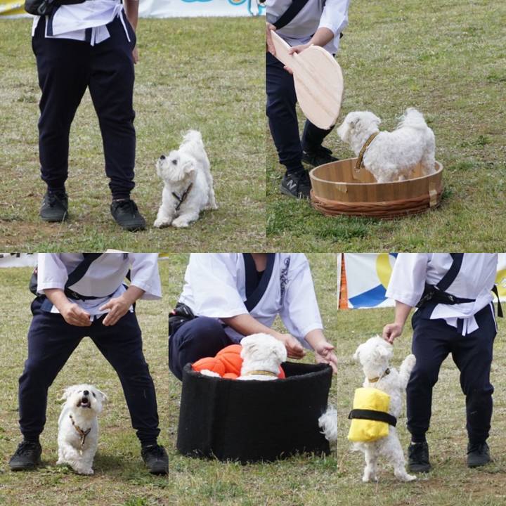 1cbf8e49 fdc0 487d 9855 bc19cc2d7e9e 1682891352147