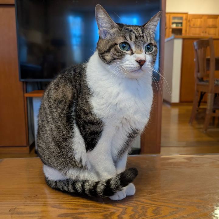 1cbfa6b3 3f6a 4929 850f 618afada5f48 1767481265668