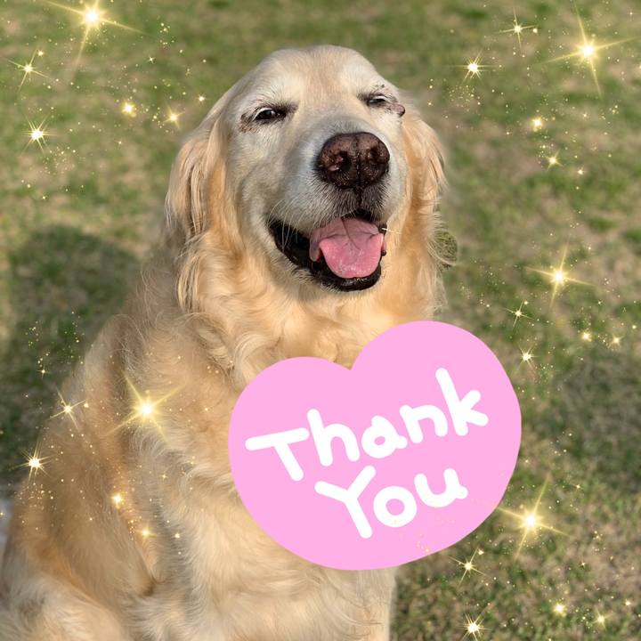 1cbfc30e 6b8b 41fd b107 1213878fc4b0 1645148538629