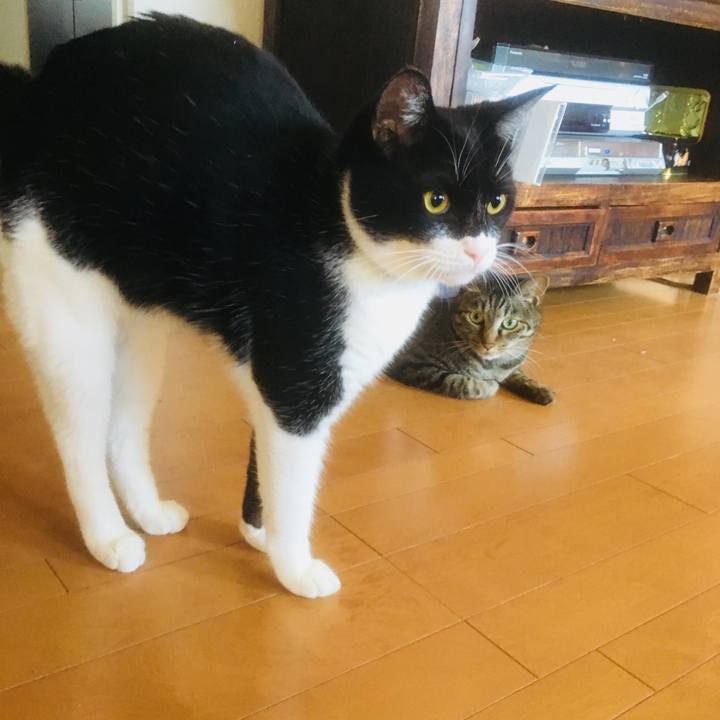 1cbfd509 e059 4f64 9780 6f88f04470c3 1532238592841