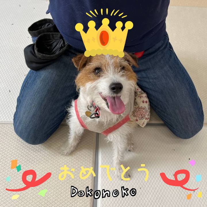 1cbfe8df b23b 41e5 b166 65fd6d5a78bc 1685936692398