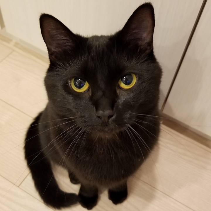 1cc01b2e 8eda 4da0 9409 471192771a8c 1525694481749