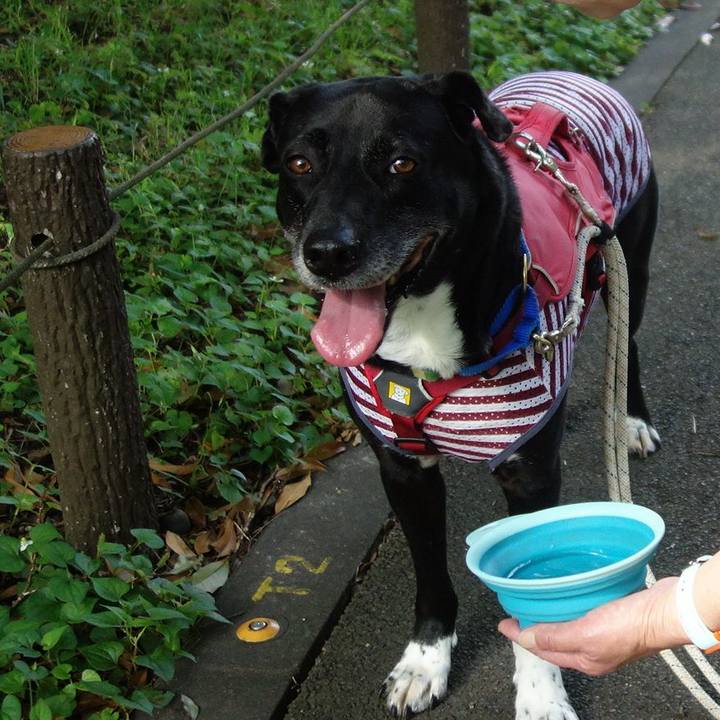 1cc02913 1fe2 4613 82b0 8fac9dc10503 1687049175048