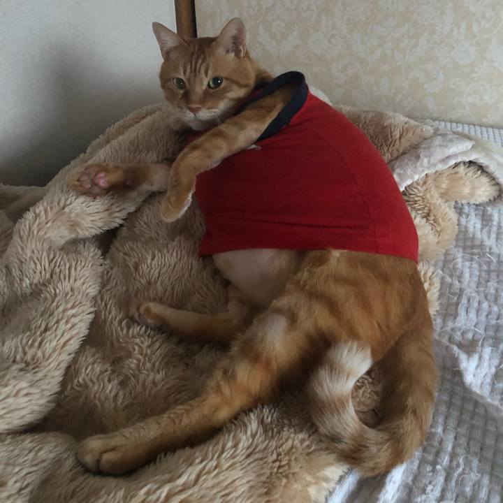 1cc03f5f 25f0 46f2 9f25 e7fb09039f0a 1636269015942