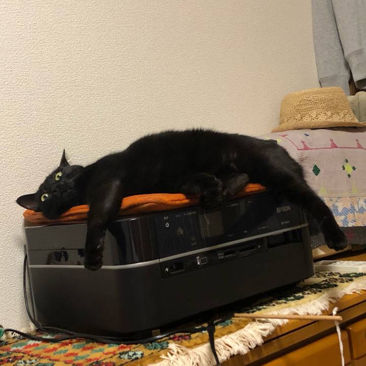 1cc063b0 9157 4c82 9d50 1b96167a6373 1550853420433