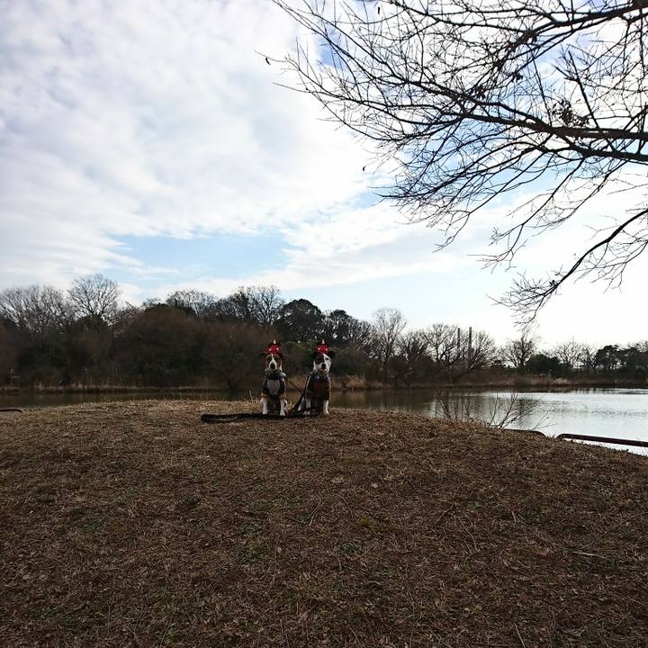 1cc0a657 e318 4909 990f 968e422bd248 1549187674971