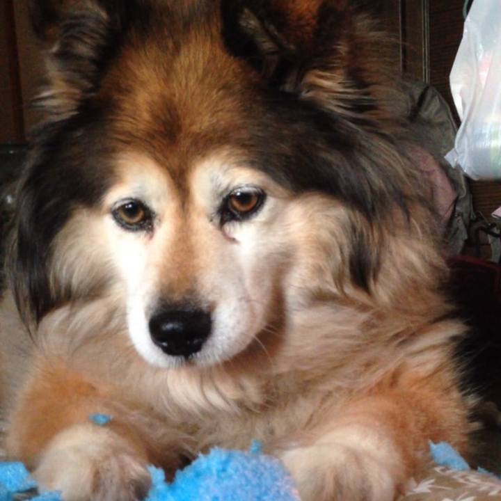 1cc0c87b cf62 4c64 8e3c ee5e329883b5 1574220014756