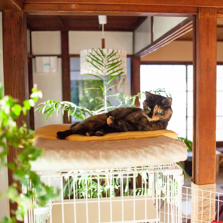 1cc0f793 0902 4f4c b80d 6c7572263263 1575983911494