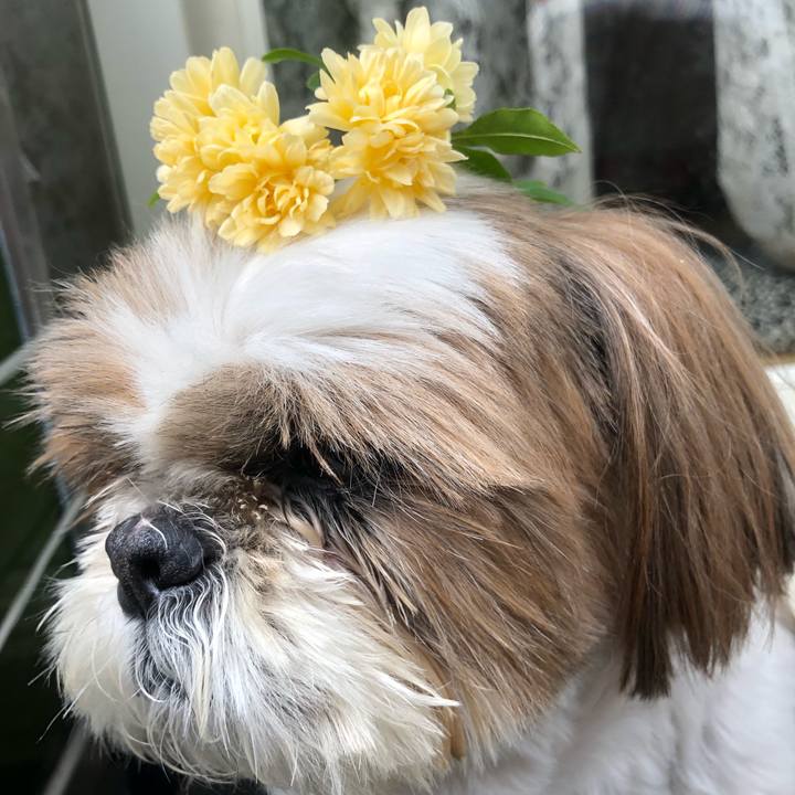 1cc12368 32ad 43c6 9a7e 190cbd7c0e64 1557543513806