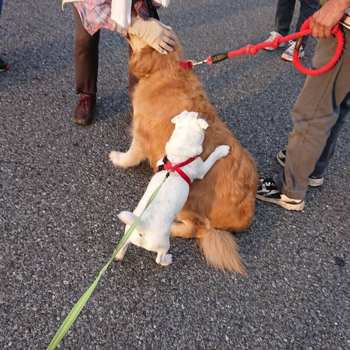 1cc125c6 65a9 48b8 8553 9f8b024193fc 1590447216395