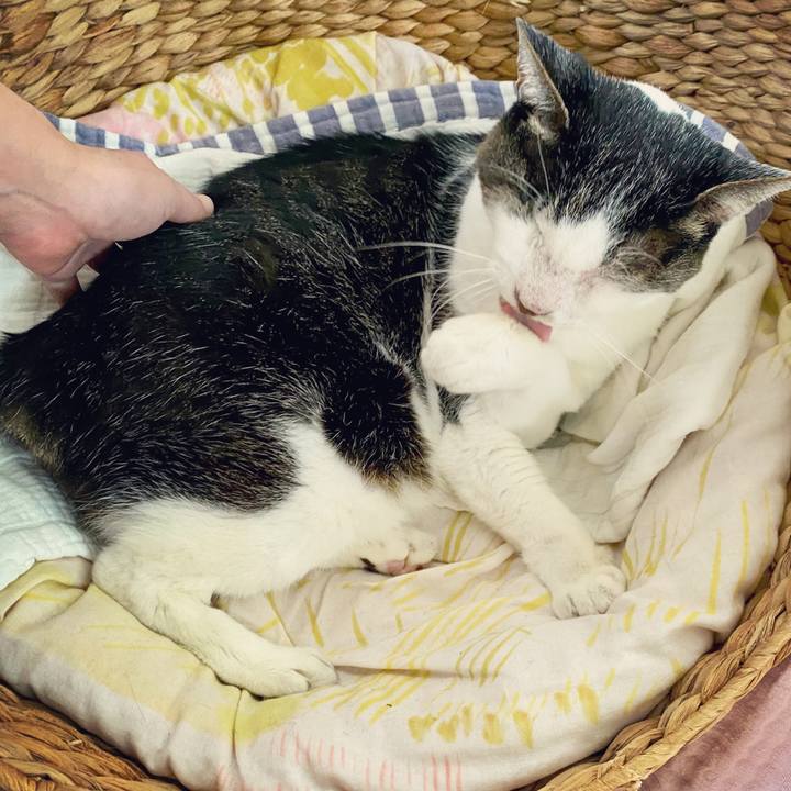 1cc14779 633c 4ba0 ac06 70fa47ae615b 1600225885187