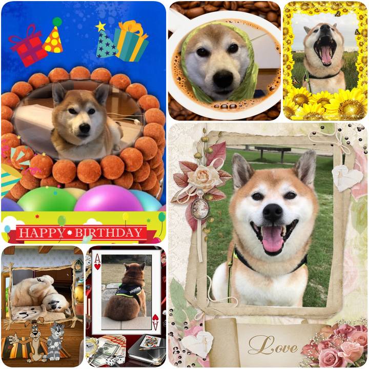 1cc15b3a 6f70 4e15 94af b7de2c3d4c86 1616022698567