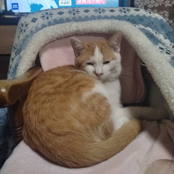 1cc162d9 9f59 4b52 adee 8c3b658f50e2 1741520506556