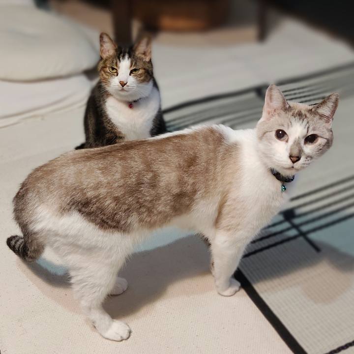 1cc1662a cf52 4aa4 9754 f347731ec7e3 1634892461280