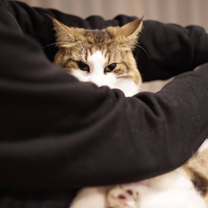 1cc17442 93a8 4975 9ae2 f771d2fb4eb9 1604062792639