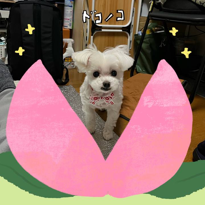 1cc174ee 9f79 4f3d 822d 25a38fd4ad63 1771826092048