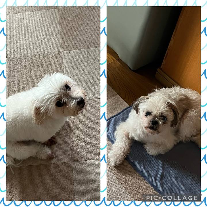 1cc17590 ce5f 4099 aa3a 33356b51d11e 1663459147197