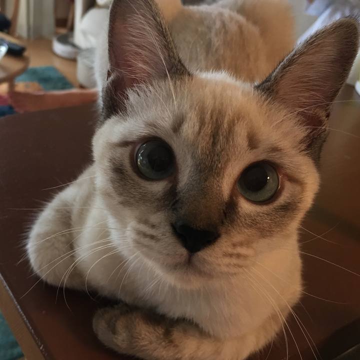 1cc182da 80f2 412a a9ee faca5ff71dc2 1539004276002