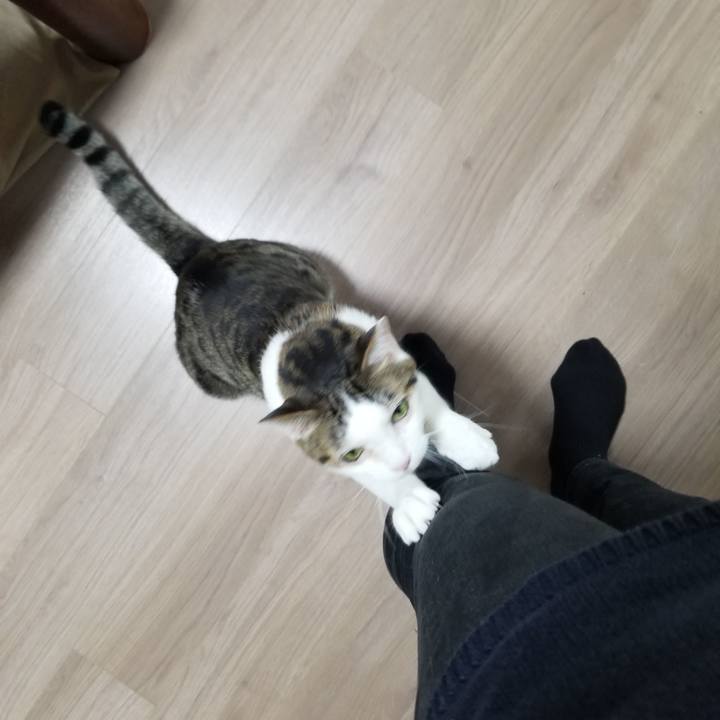 1cc189f3 51ca 45ef 9c42 a3a173c256a5 1617140372111