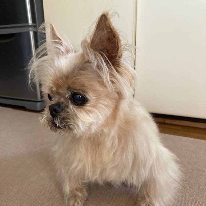 1cc1d8b9 21e4 4cbf 981b aa3e7bb43f81 1616741219258