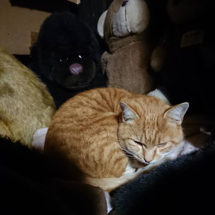 1cc1db11 adad 41d5 a5c5 c0e6b623e2cd 1606908496271