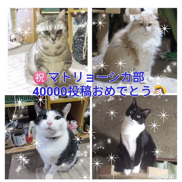 1cc1fb3c 02e0 4b0d b5bc a16257752cc0 1555593677313