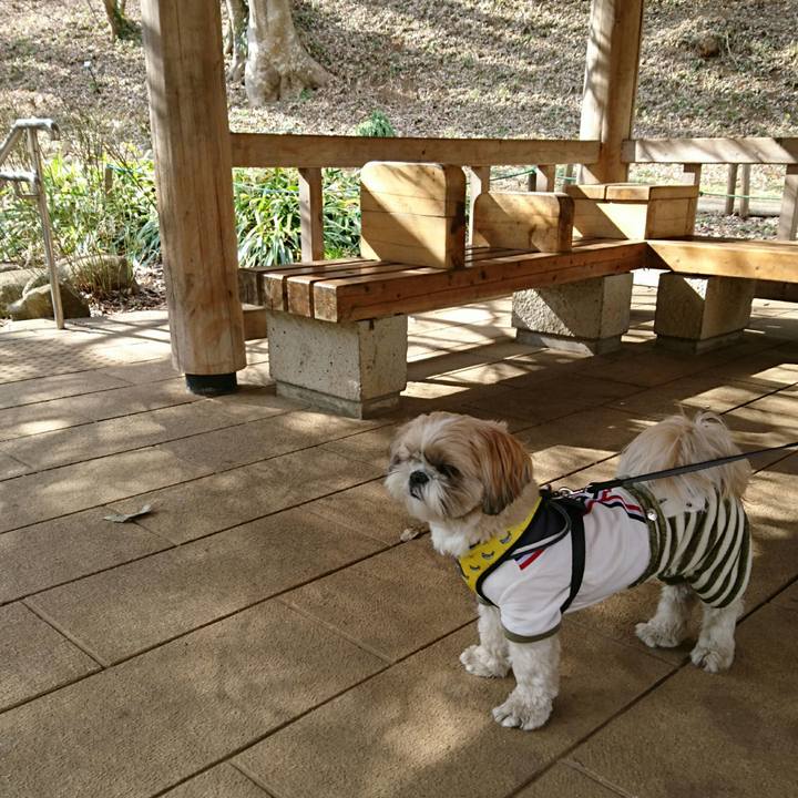 1cc20375 b027 4cc0 9cb7 854011ba49f1 1550383083994