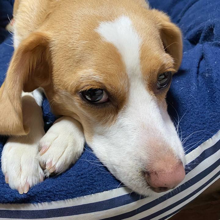 1cc20cfb 3292 4788 bcd9 5ae45fa46a9f 1610755441897