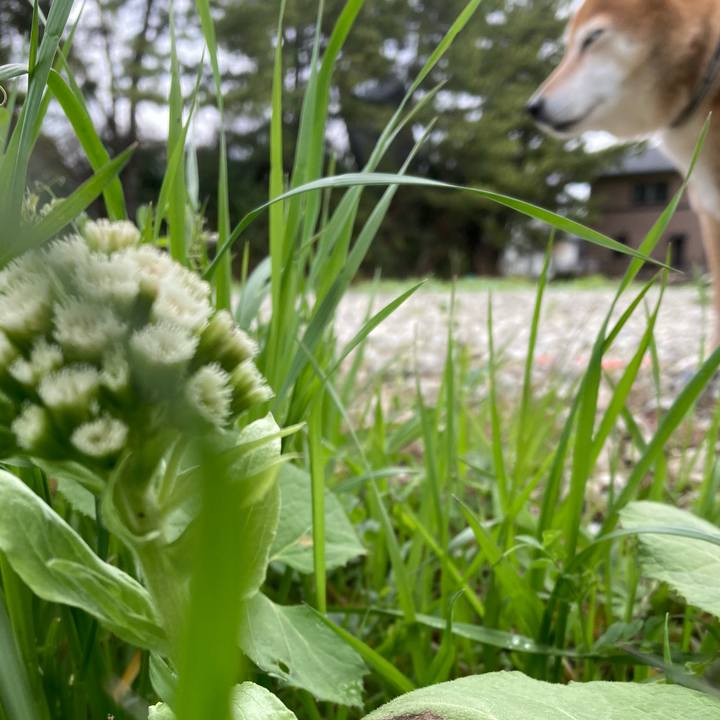 1cc23a7e e550 4e51 bf0e 2e5878f883d9 1649127203250