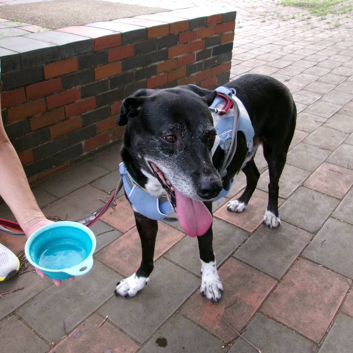 1cc24bfb 5ad7 4fe1 a5fb 03545b157bcf 1754437434975