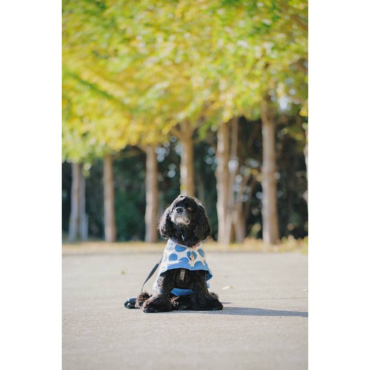 1cc27e45 ffa6 4c7e bc19 a70937ffe249 1700405920955