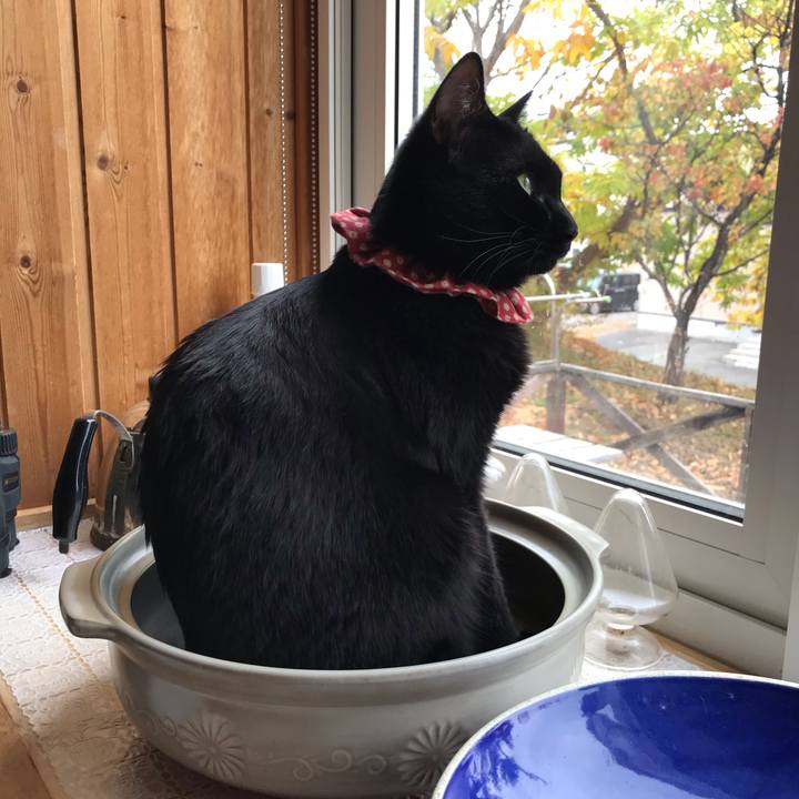 1cc27ffa 2fc2 4073 a3a2 0fd5e1e03963 1604206701666