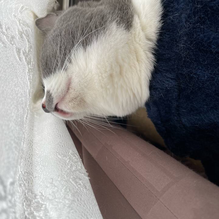 1cc29bef 33f0 4d70 a7f3 4a13f09ab452 1661293314987