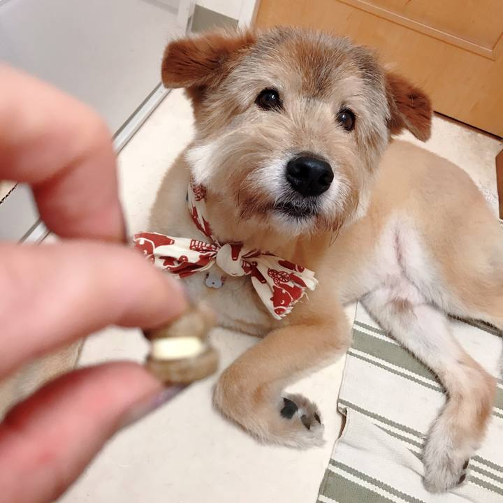 1cc2b7d6 1a26 4d3c b046 43983365ae22 1597501328357