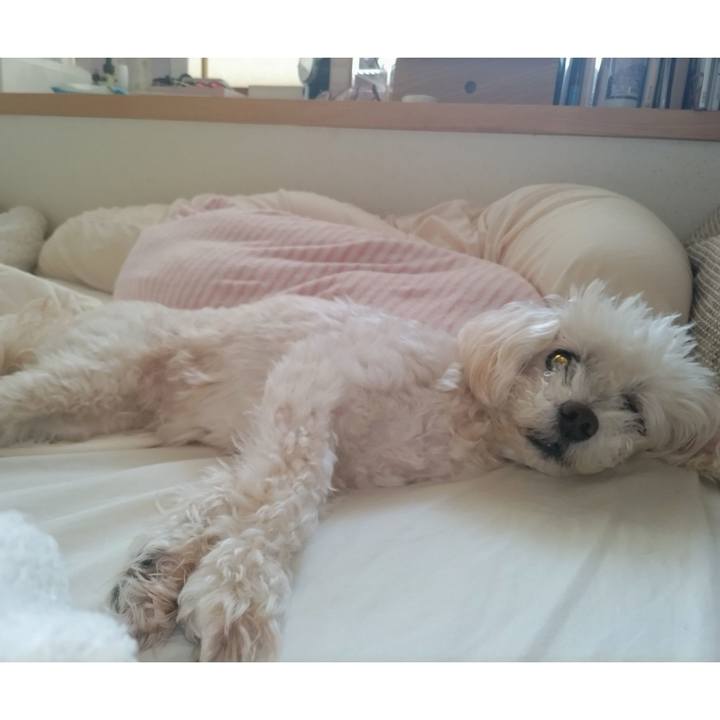 1cc2fe4b 41b4 49d4 83c7 34e0135dfca4 1721034293288