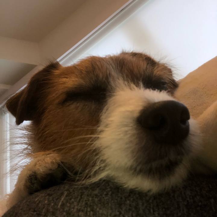 1cc34d49 435e 42d5 a7b4 b70829a1aaa7 1576972222996