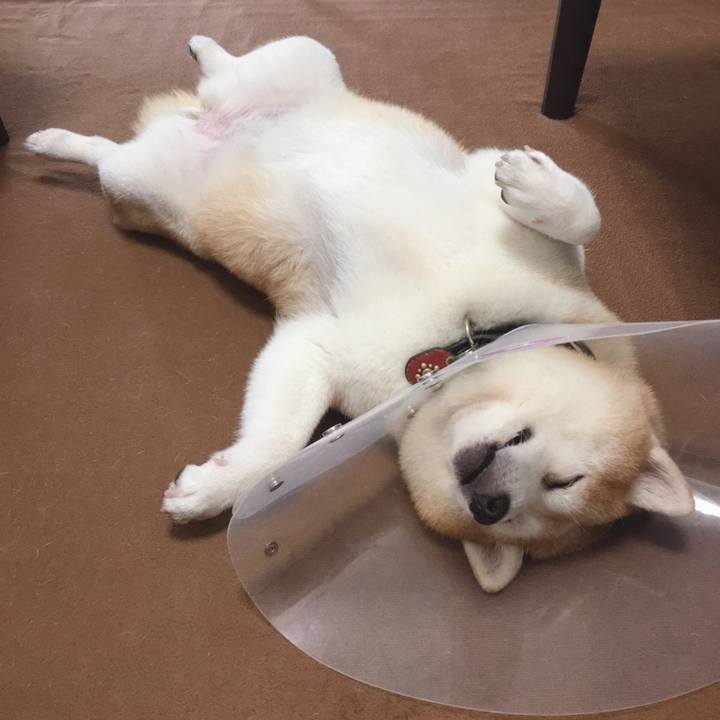 1cc3553a 97e2 475b 9a63 ad8c385ad398 1599290003169