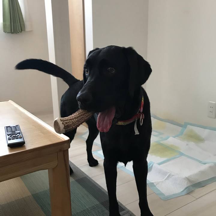 1cc35a7d 4ce3 4df0 afd1 a3636b77382c 1533461746883