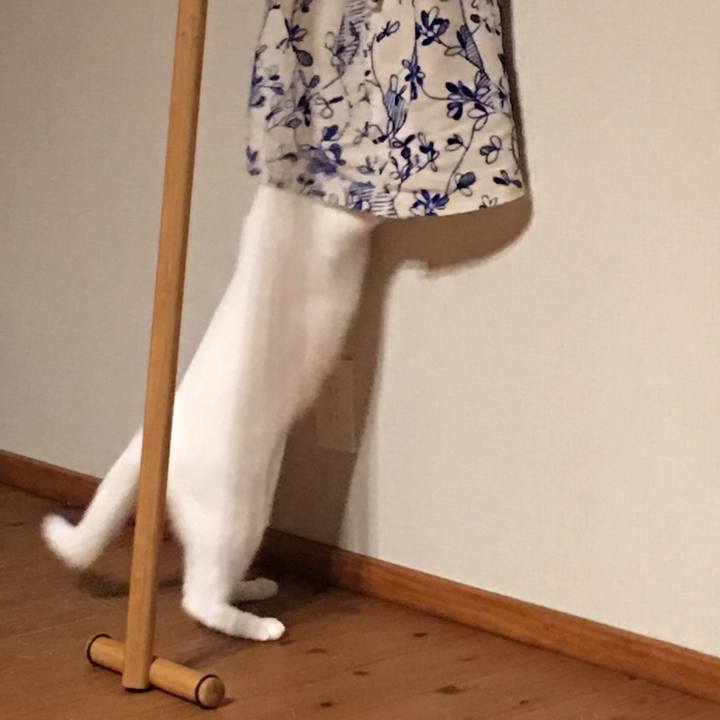 1cc37465 8093 40be 9d9b 631077abf21f 1535725285754