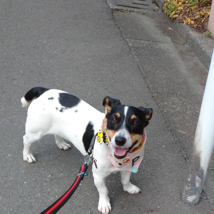 1cc393ea 0f9e 4889 b586 02ba2311e296 1591325055121