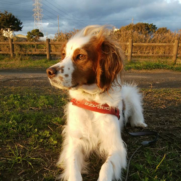 1cc3d5be 2b37 442a ada1 a3077047a377 1542875876595