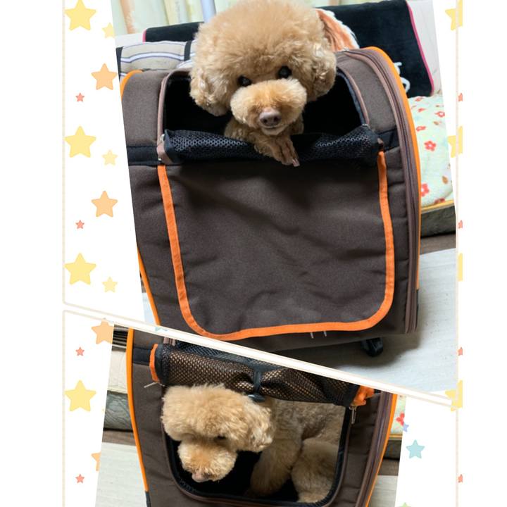 1cc3db4b b61f 468f b857 9bac755f83e5 1551348519567